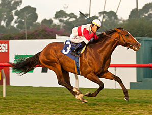 Data Link wins the 2012 Citation.