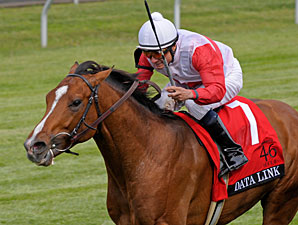 Data Link wins the 2012 Maker's 46 Mile.