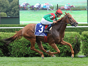 Daveron wins the 2011 Ballston Spa.