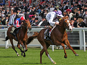 Dawn Approach wins at Royal Ascot