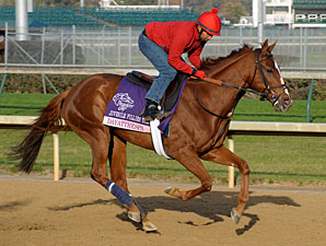 Dayatthespa at Churchill Downs, November 1, 2011.