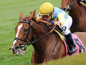 Dayatthespa wins the 2012 Queen Elizabeth II Challenge Cup.