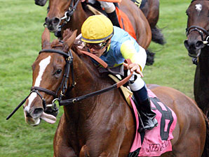 Dayatthespa wins the 2012 Queen Elizabeth II Challenge Cup.