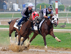 Dean's Kitten works with Age Of Humor on April 23, 2010.