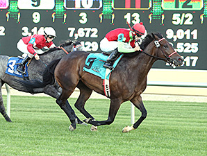 Dear Fay wins the 2014 Princess Elaine Stakes.