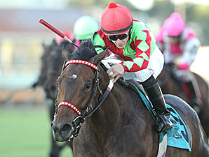 Dear Fay wins the 2014 Princess Elaine Stakes.