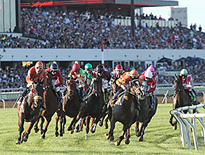 Dear Fay wins the 2014 Princess Elaine Stakes.