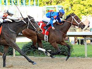 Decelerator wins the 2010 Instant Racing Stakes.