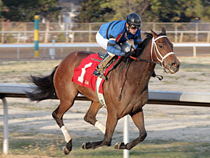 Decelerator wins the 2010 Martha Washington.