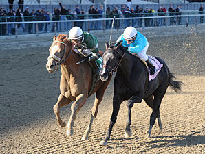 Declan's Warrior wins the 2013 Bay Shore.