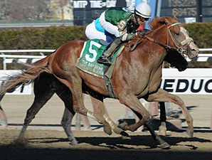 Declan's Warrior wins the 2013 Bay Shore.
