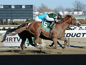 Declan's Warrior wins the 2013 Bay Shore.