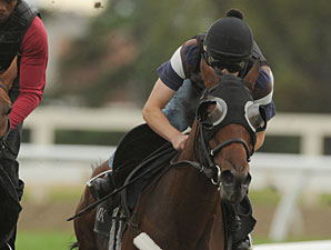 Delawana at Woodbine, August 2, 2011.