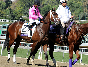 Delegation prior to the Breeders' Cup Dirt Mile.
