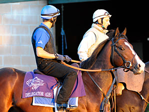 Delegator at the 2009 Breeders' Cup
