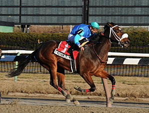Deputy Daney wins the 2010 Jimmy Winkfield.