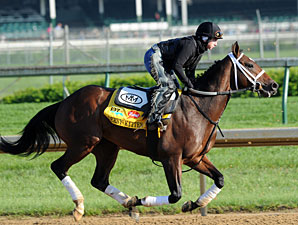 Derby Kitten - Churchill Downs, 05/05/11
