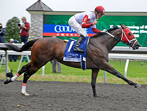 Derby Kitten wins the 2011 Coolmore Lexington.
