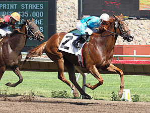 Desert Alley wins the 2012 HBPA Sprint Stakes.