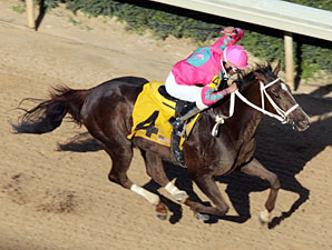 Devil And A Half winning The Arkansas Breeders' Stakes.
