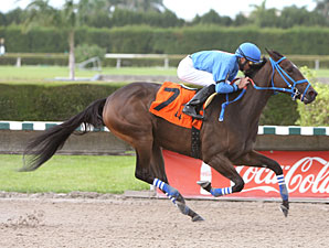 Devilish Lady wins the 2010 Joe O'Farrell Juv. Fillies.