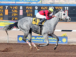 Devons Ca Ching wins the 2014 Mt. Cristo Rey Handicap.