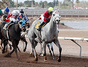 Devons Ca Ching wins the 2014 Mt. Cristo Rey Handicap.
