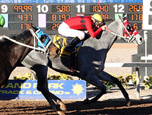 Devons Ca Ching wins the 2013 Pepsi Cola Stakes.