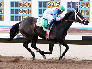 Devon's Spirit wins the 2013 Russell and Hellen Foutz Distaff Handicap.