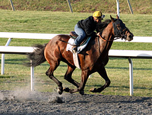 Dewey Square - Keeneland Work, April 6, 2013.