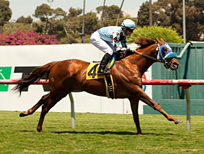 Dhaamer wins the Sunset Handicap.