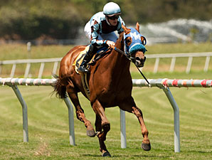 Dhaamer wins the Sunset Handicap.