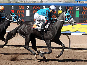 Diabolical Dame wins the 2014 Copper Futurity Trail Fillies 1st Division Trial.