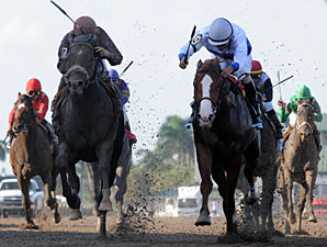 Dialed In (outside) wins the 2011 Florida Derby over Shackleford.