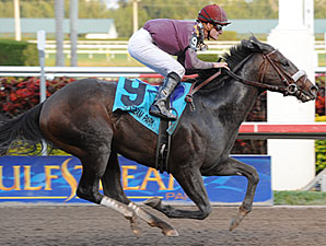 Dialed In finishing in the Holy Bull Stakes.
