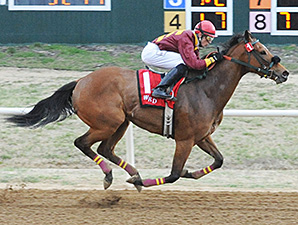 Diamond Lucy wins the Wilma Mankiller Memorial.