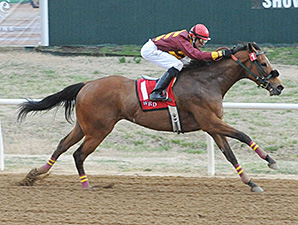 Diamond Lucy wins the 2014 Wilma Mankiller Memorial Stakes.
