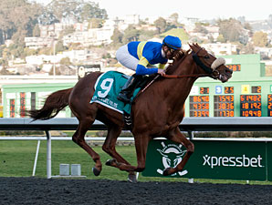 Dice Flavor wins the 2013 El Camino Real Derby.