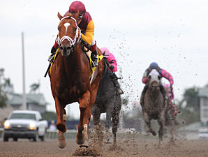 Discreet Dancer wins the 2013 Gulfstream Park Handicap.