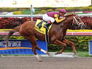 Discreet Dancer wins the 2013 Gulfstream Park Handicap.