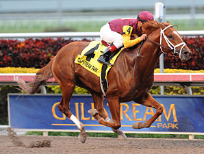 Discreet Dancer wins the 2013 Gulfstream Park Handicap.