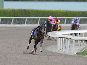 A riderless Fort Larned leads the way in the 2013 Gulfstream Park Handicap.