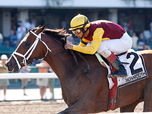 Discreetly Mine wins the 2010 Jersey Shore.