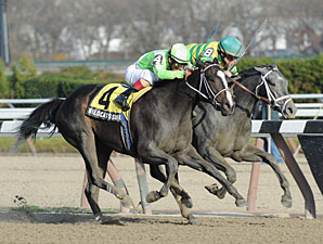 Disposablepleasure wins the 2011 Demoiselle.