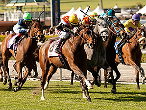 Diversy Harbor wins the 2014 China Doll Stakes.