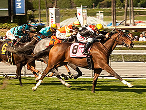 Diversy Harbor wins the 2014 China Doll Stakes.