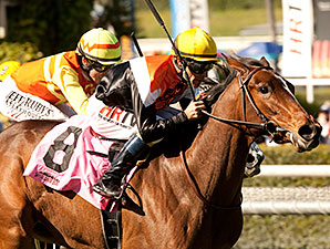 Diversy Harbor wins the 2014 China Doll Stakes.