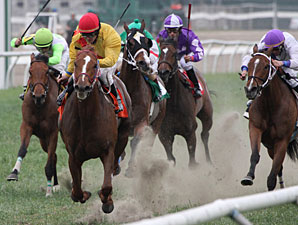 Divine Lorretta wins the 2013 Camelia Stakes.