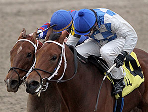 Dixie Beat wins the 2013 Louisiana Futurity, Colts and Geldings Division.