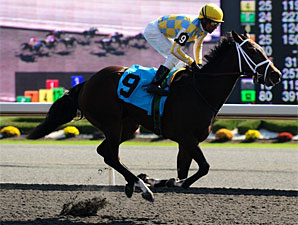Dixie Strike wins the 2011 Ontario Lassie.